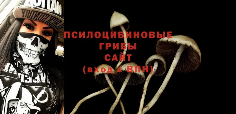 площадка телеграм  Отрадная  Галлюциногенные грибы Psilocybe 